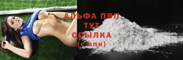 дмт Новозыбков