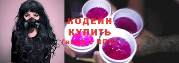 дмт Новозыбков