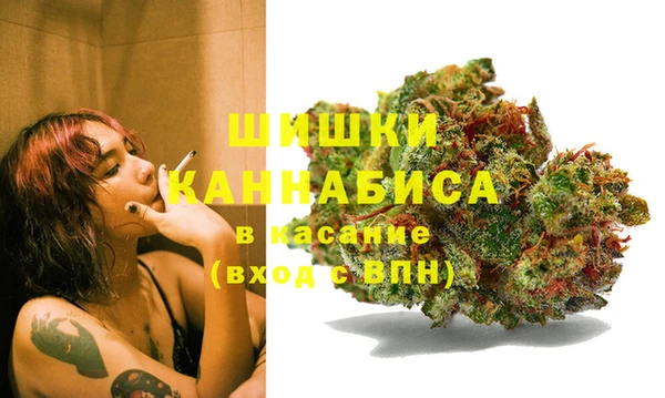 шишки Нефтегорск